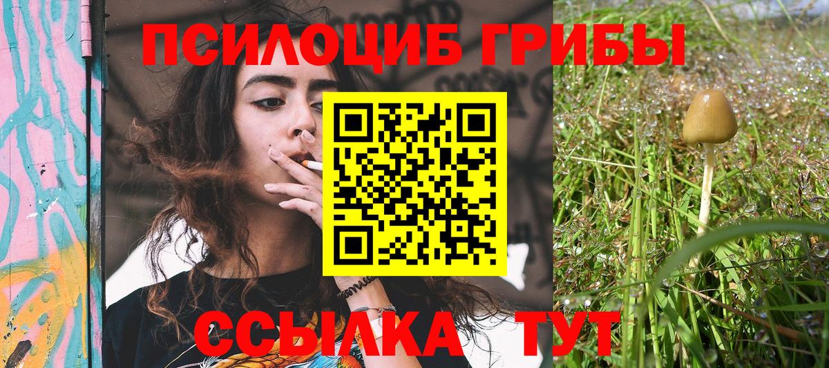 Псилоцибиновые грибы Psilocybe  Вход с VPN  Анжеро-Судженск 