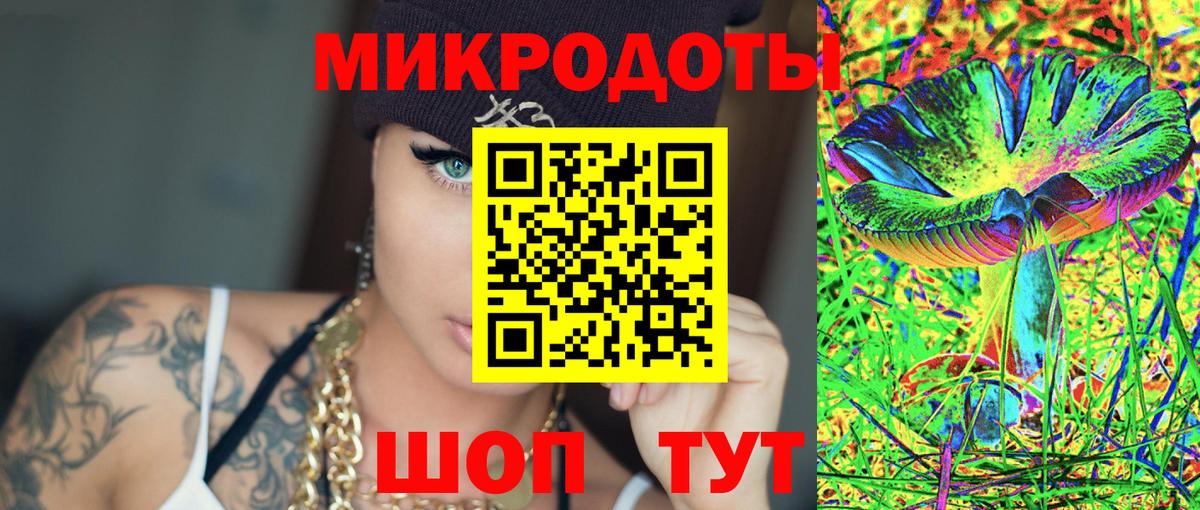 Галлюциногенные грибы Psilocybine cubensis Анжеро-Судженск
